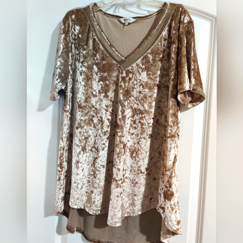 Amaryllis Women's Mesh V-neck Crushed Velvet Tee, Size L